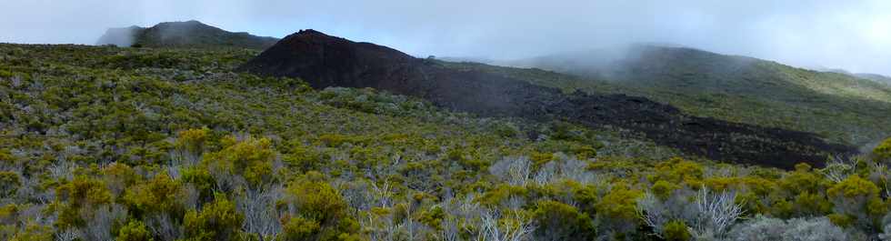 31 octobre 2014 - Massif du Piton de la Fournaise - Sentier du Rempart de la Rivire de l'Est - Cratre 400 ans -