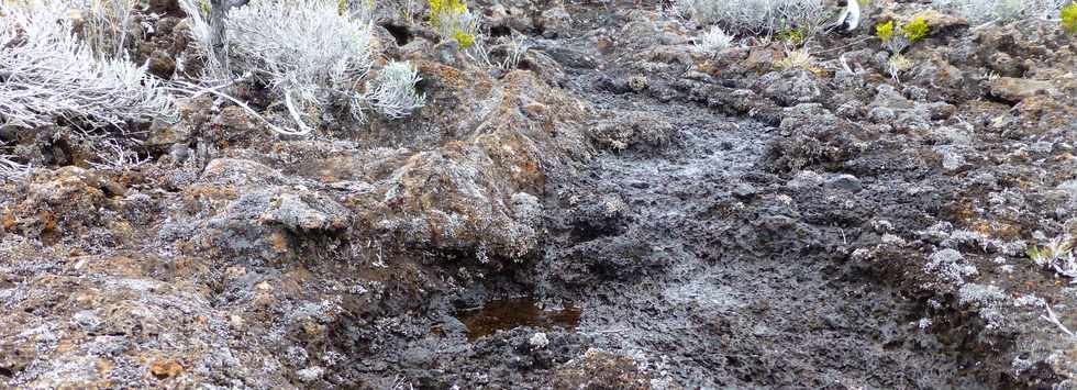 31 octobre 2014 - Massif du Piton de la Fournaise - Sentier du Rempart de la Rivire de l'Est - Ravine