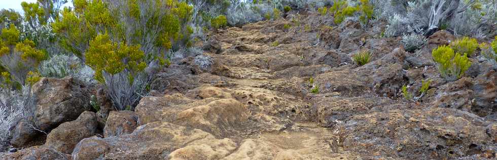 Piton de la Fournaise - Sentier du Rempart de la rivire de l'Est