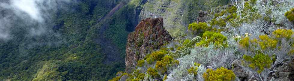 Piton de la Fournaise - Rempart de la rivire de l'Est- Dike