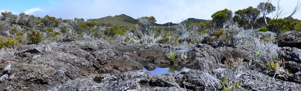 Piton de la Fournaise - Rempart de la rivire de l'Est- Ravine vers le Piton des Feux  Mauzac