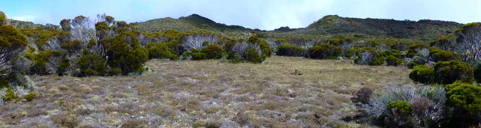 Piton de la Fournaise - Rempart de la rivire de l'Est-  Vers le Piton des Feux  Mauzac