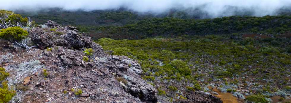 Piton de la Fournaise - Piton des Feux  Mauzac -