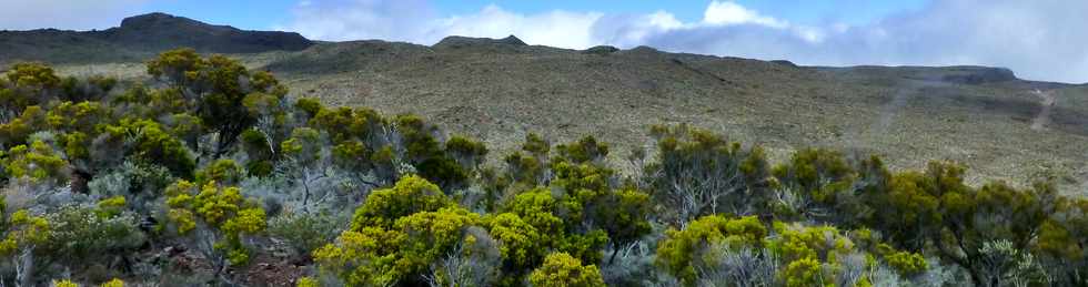 Piton de la Fournaise - Piton des Feux  Mauzac - Vue sur la Plaine des Remparts