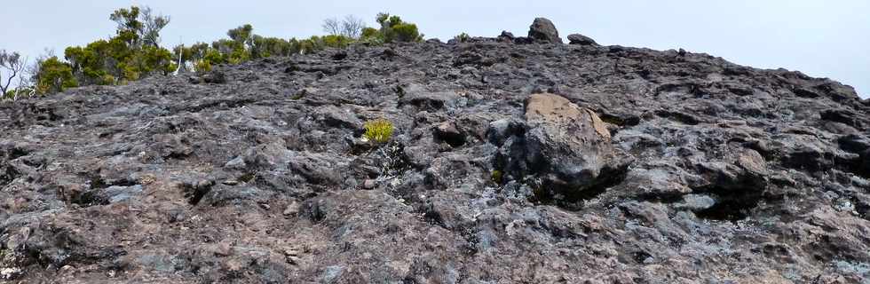 Piton de la Fournaise - Piton des Feux  Mauzac -