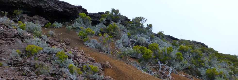 Piton de la Fournaise - Piton des Feux  Mauzac -