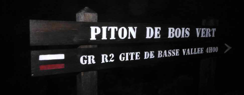 11 février 2015 - Massif du Piton de la Fournaise -Piton de Bert
