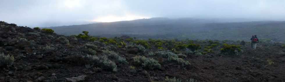 11 fvrier 2015 - Massif du Piton de la Fournaise - Entre Piton Rouge et parking Foc-Foc -