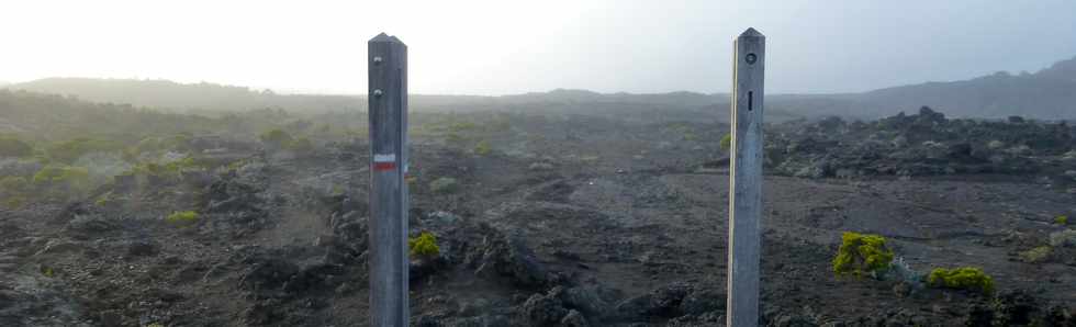 11 fvrier 2015 - Massif du Piton de la Fournaise -  Dpart du sentier du Piton de Bert