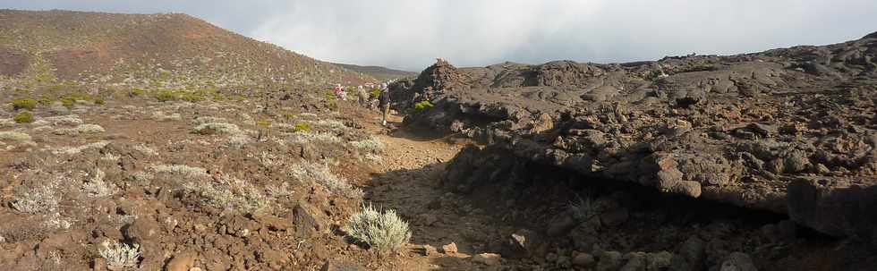 19 mai 2015 - Piton de la Fournaise -Sentier du Piton de Bert -