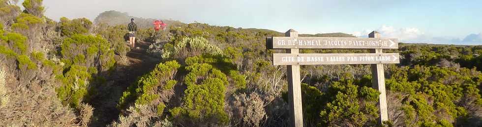 19 mai 2015 - Piton de la Fournaise -Sentier du Piton de Bert - Intersection sentier Jacques Payet