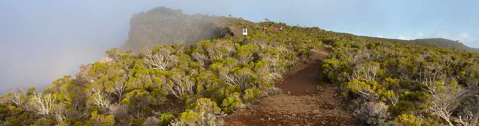 19 mai 2015 - Piton de la Fournaise - Sentier du Piton de Bert -