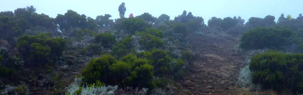 19 mai 2015 - Piton de la Fournaise - Sentier du Piton de Bert -