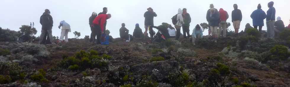 19 mai 2015 - Piton de la Fournaise - Sentier du Piton de Bert -  Pas de Bory