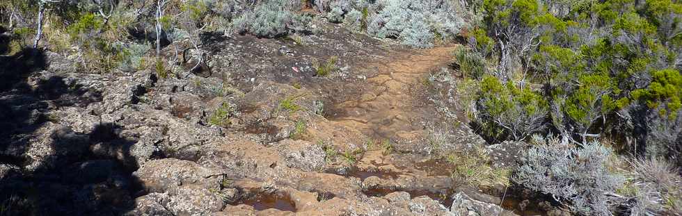 23 mai 2015 - Massif du Piton de la Fournaise - Sentier vers le PIton Argamasse