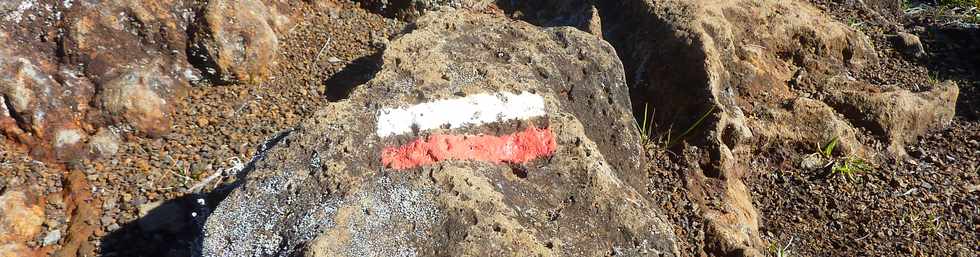 23 mai 2015 - Massif du Piton de la Fournaise - Sentier vers le PIton Argamasse