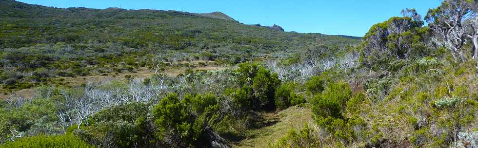 23 mai 2015 - Massif du Piton de la Fournaise - Sentier vers le PIton Argamasse - Cratre Commerson