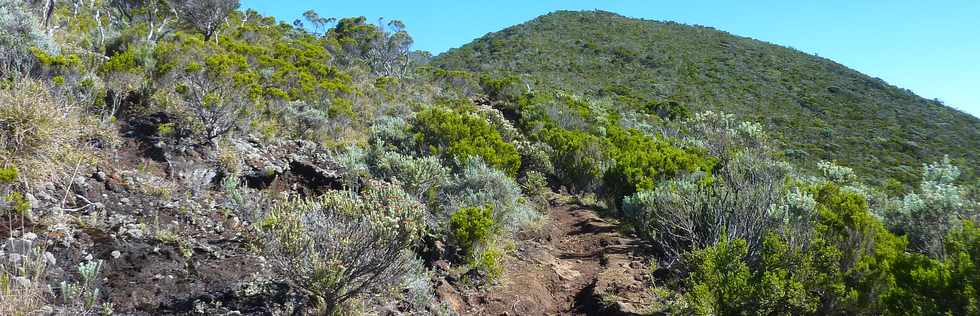 23 mai 2015 - Massif du Piton de la Fournaise - Sentier vers le PIton Argamasse