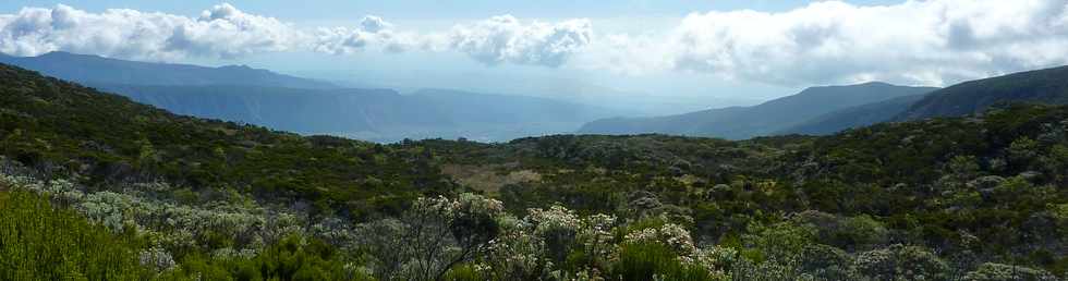 23 mai 2015 - Massif du Piton de la Fournaise - Sentier vers le PIton Argamasse