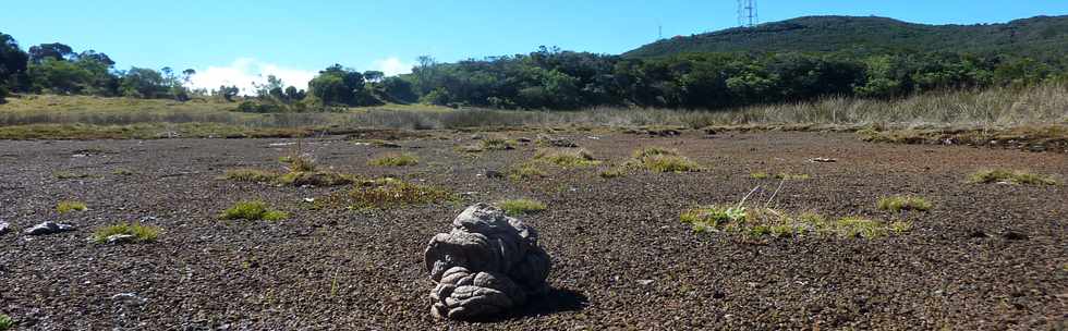 23 mai 2015 - Massif du Piton de la Fournaise - PIton Argamasse - Mare -