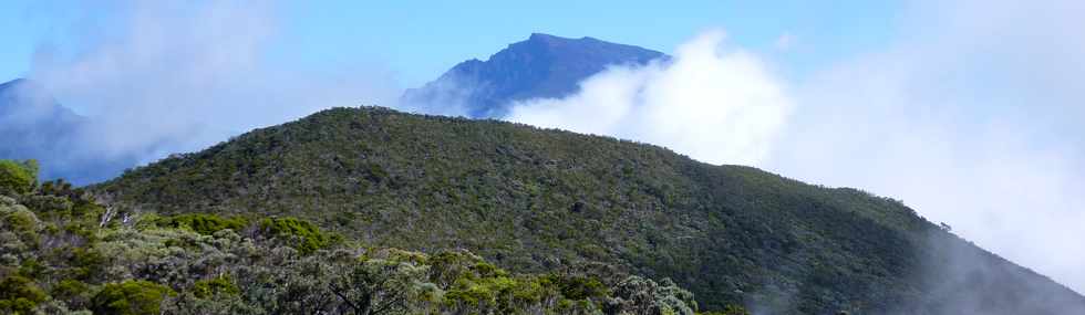 23 mai 2015 - Massif du Piton de la Fournaise - PIton Argamasse