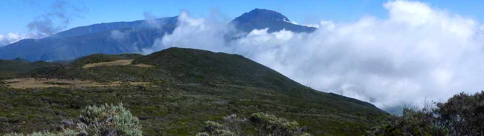 23 mai 2015 - Massif du Piton de la Fournaise - Sentier de l' Argamasse