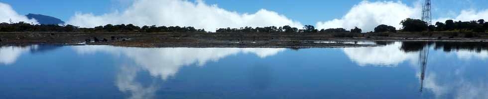 23 mai 2015 - Massif de la Fournaise - Piton dans l'Bout -