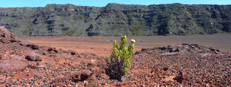 22 juillet 2015 - Massif du Piton de la Fournaise -  Plaine des Sables -