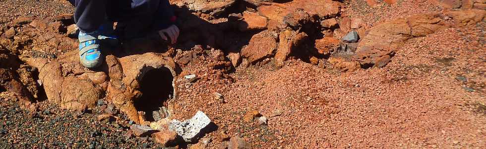 22 juillet 2015 - Massif du Piton de la Fournaise -  Plaine des Sables -