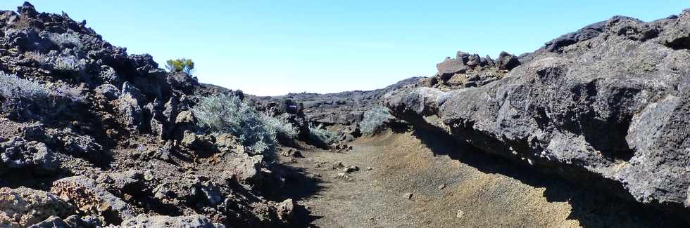 30 octobre 2015 - Massif de la Fournaise - Sentier du Piton de Bert -