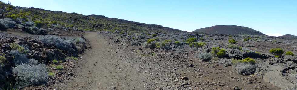 30 octobre 2015 - Massif de la Fournaise - Sentier du Piton de Bert -  Piste 4x4