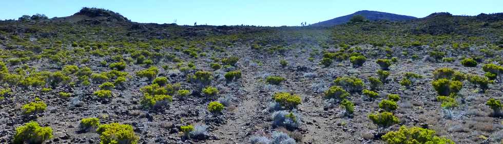 30 octobre 2015 - Massif de la Fournaise - Sentier du Piton de Bert -  Piste 4x4 vers le rempart