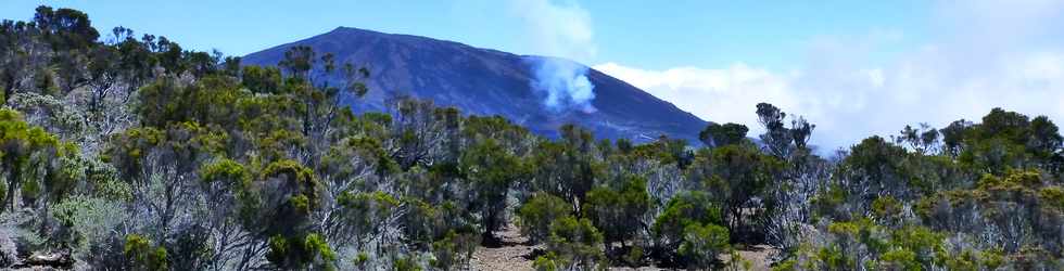 30 octobre 2015 - Massif de la Fournaise - Sentier du Piton de Bert -  Piton Kalla et Pl