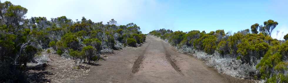 30 octobre 2015 - Massif de la Fournaise - Sentier du Piton de Bert -