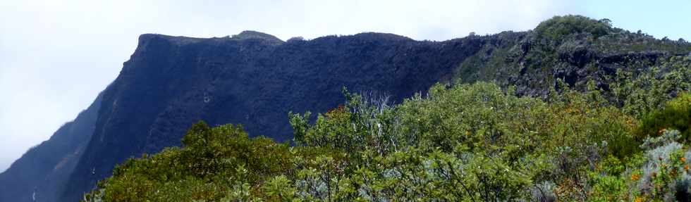 30 octobre 2015 - Massif de la Fournaise - Sentier du Piton de Bert -  Rempart incendi par les coules