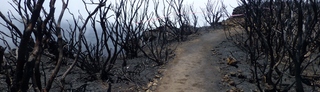 30 octobre 2015 - Incendie au Piton de Bert