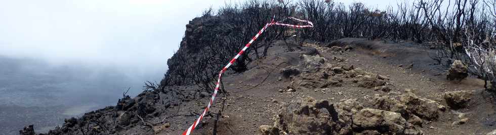 30 octobre 2015 - Massif de la Fournaise - Sentier du Piton de Bert -