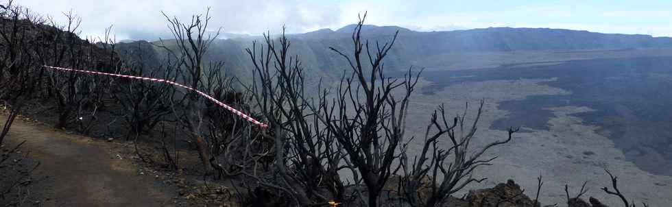 30 octobre 2015 - Massif de la Fournaise - Sentier du Piton de Bert -  Zone incendiée