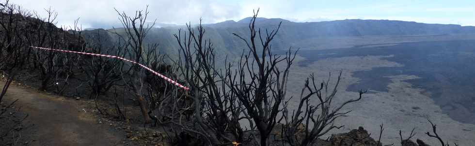 30 octobre 2015 - Massif de la Fournaise - Sentier du Piton de Bert -  Zone incendie