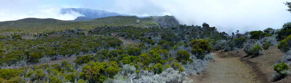 30 octobre 2015 - Massif de la Fournaise - Sentier du Piton de Bert -