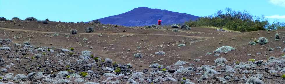 30 octobre 2015 - Massif de la Fournaise - Sentier du Piton de Bert -  -