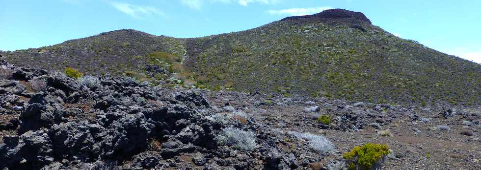 30 octobre 2015 - Massif de la Fournaise - Sentier du Piton de Bert -  Piton Hubert -