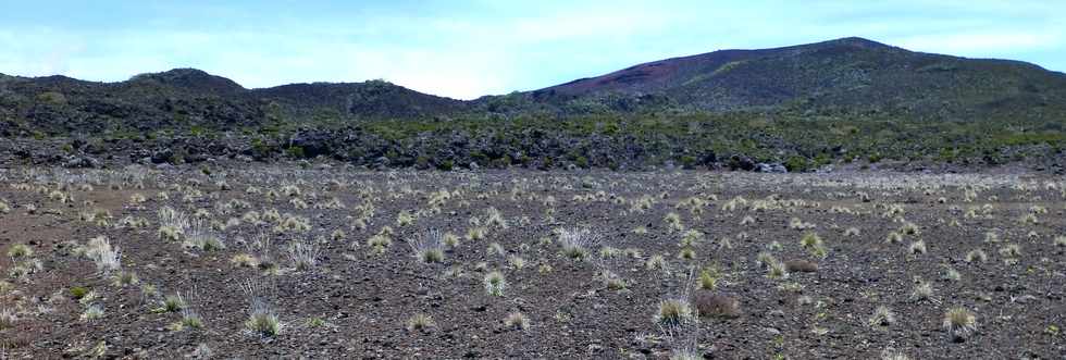 30 octobre 2015 - Massif de la Fournaise - Sentier du Piton de Bert -  Piton Rouge -