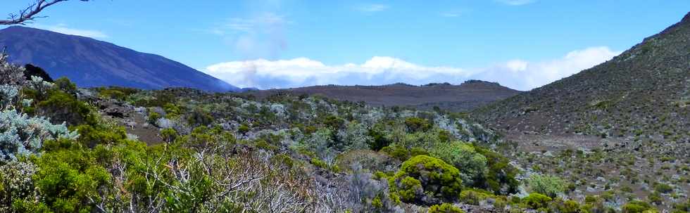 30 octobre 2015 - Massif de la Fournaise - Sentier du Piton de Bert -  Piton Hubert ( droite)-