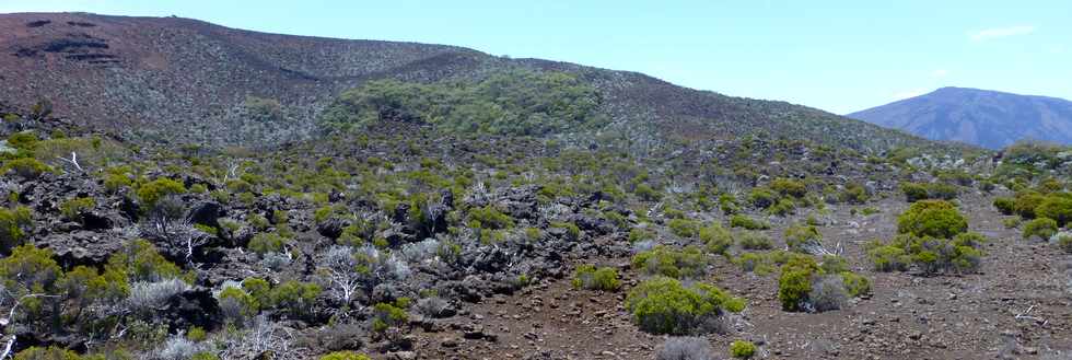 30 octobre 2015 - Massif de la Fournaise - Sentier du Piton de Bert -  Piton Rouge-