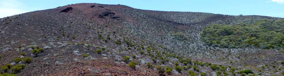 30 octobre 2015 - Massif de la Fournaise - Sentier du Piton de Bert -  Piton Rouge - -