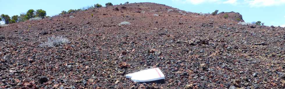 30 octobre 2015 - Massif de la Fournaise - Sentier du Piton de Bert - Monte au Piton Rouge -