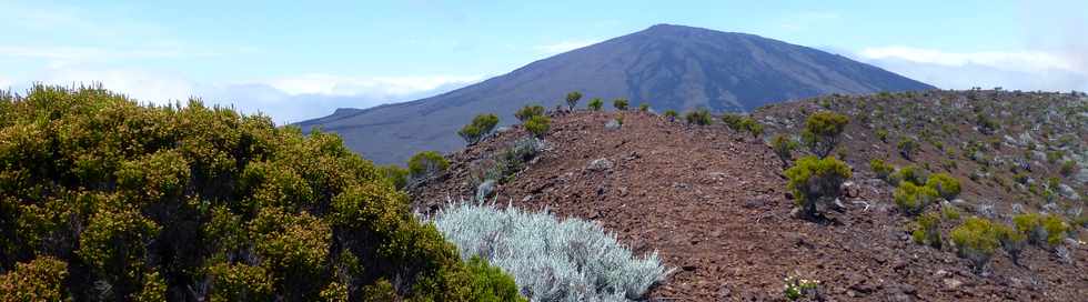 30 octobre 2015 - Massif de la Fournaise - Sentier du Piton de Bert - Monte au Piton Rouge -