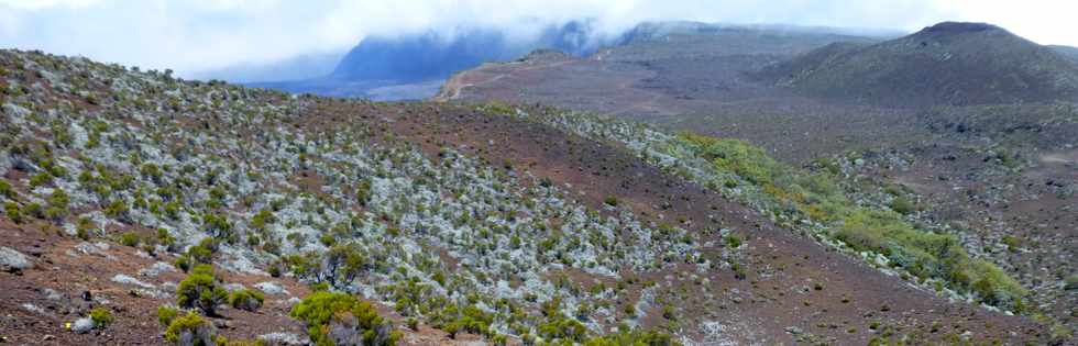 30 octobre 2015 - Massif de la Fournaise - Sentier du Piton de Bert - Monte au Piton Rouge -