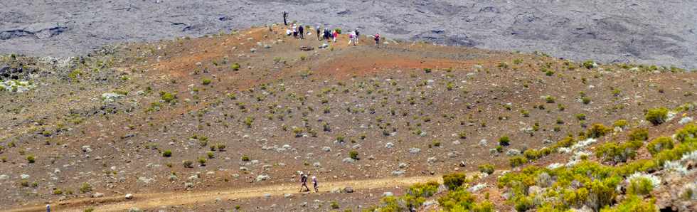 30 octobre 2015 - Massif de la Fournaise - Sentier du Piton de Bert - Monte au Piton Rouge -